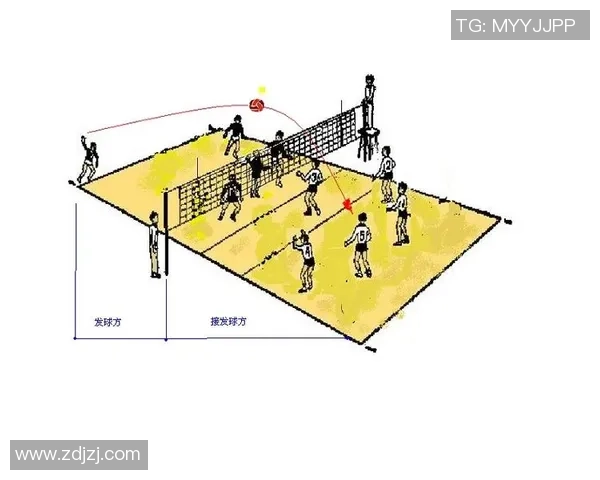 重庆排球队战术表现深度分析与数据解读探讨