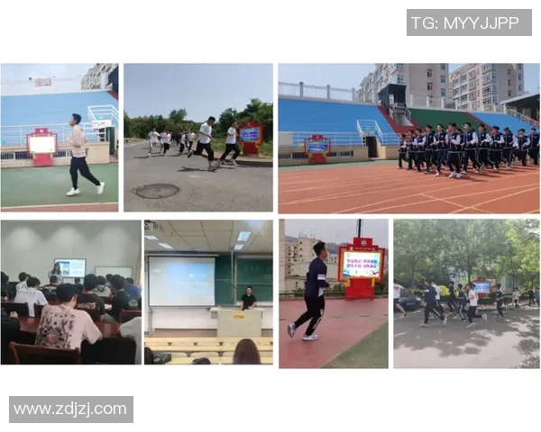 杭州羽毛球队迎来节奏变革引发热议助力运动发展新篇章